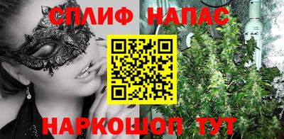 бошки Дубна